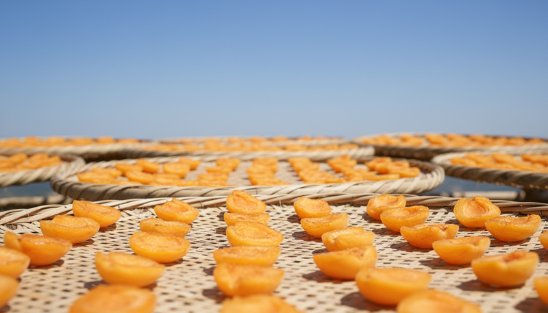 Solar Air-Drying