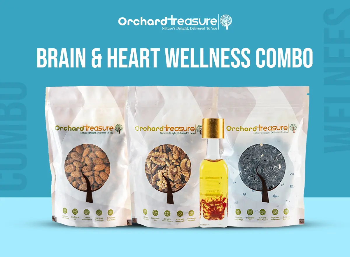 brain combo